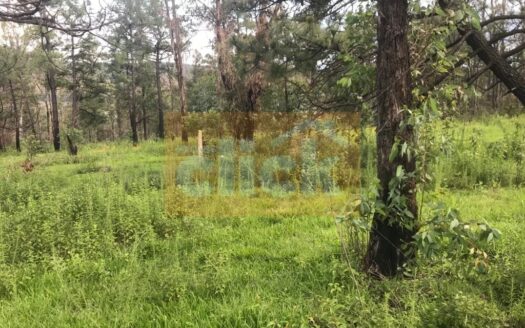 SE VENDE TERRENO MUY CERCANO A PRESA COINTZIO