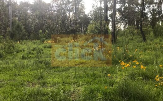 SE VENDE TERRENO MUY CERCANO A PRESA COINTZIO